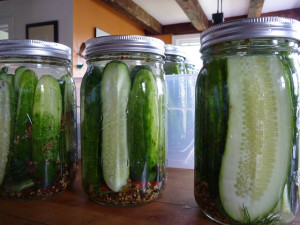 Dill pickles - Filled jars